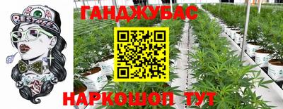 шишки Гусиноозёрск