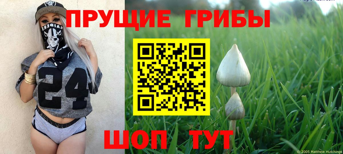 Псилоцибиновые грибы Magic Shrooms Верхняя Салда