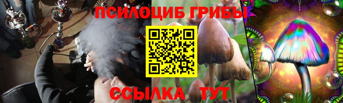 Псилоцибиновые грибы прущие грибы  Вход с VPN  Верхняя Салда 
